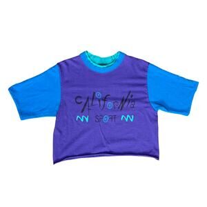 Vintage 90s California Sport Purple Blue Teal Cropped Oversize Tee T-Shirt sz L